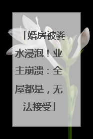 婚房被粪水浸泡！业主崩溃：全屋都是，无法接受
